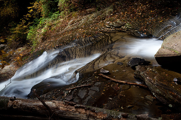 Rickett's Glen-5771