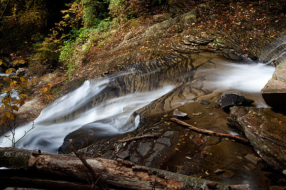 Rickett's Glen-5772