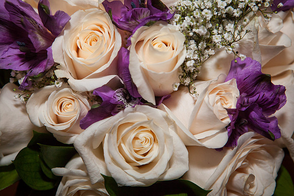 Holland Wedding-9172