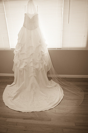 Fish Wedding-7238