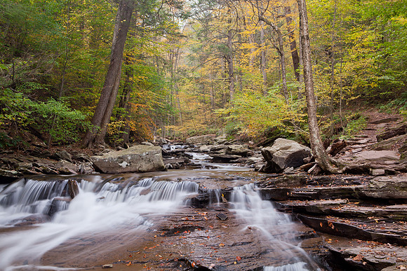 Rickett's Glen-5832