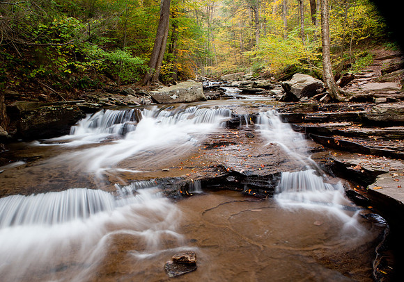 Rickett's Glen-5829