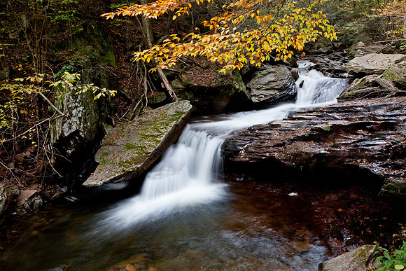 Rickett's Glen-5824