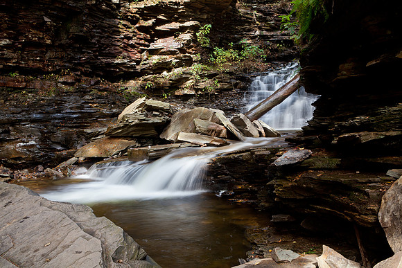 Rickett's Glen-5775