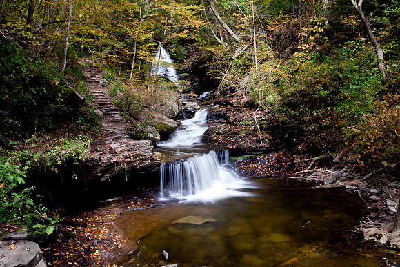 Rickett's Glen-5807