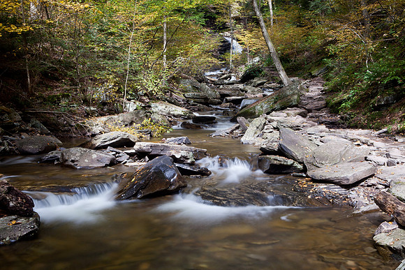 Rickett's Glen-5785