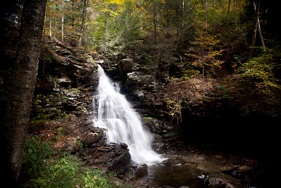 Rickett's Glen-5803