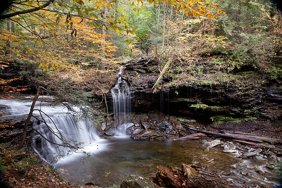 Rickett's Glen-5811